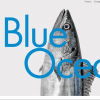 theblueocean theblueocean